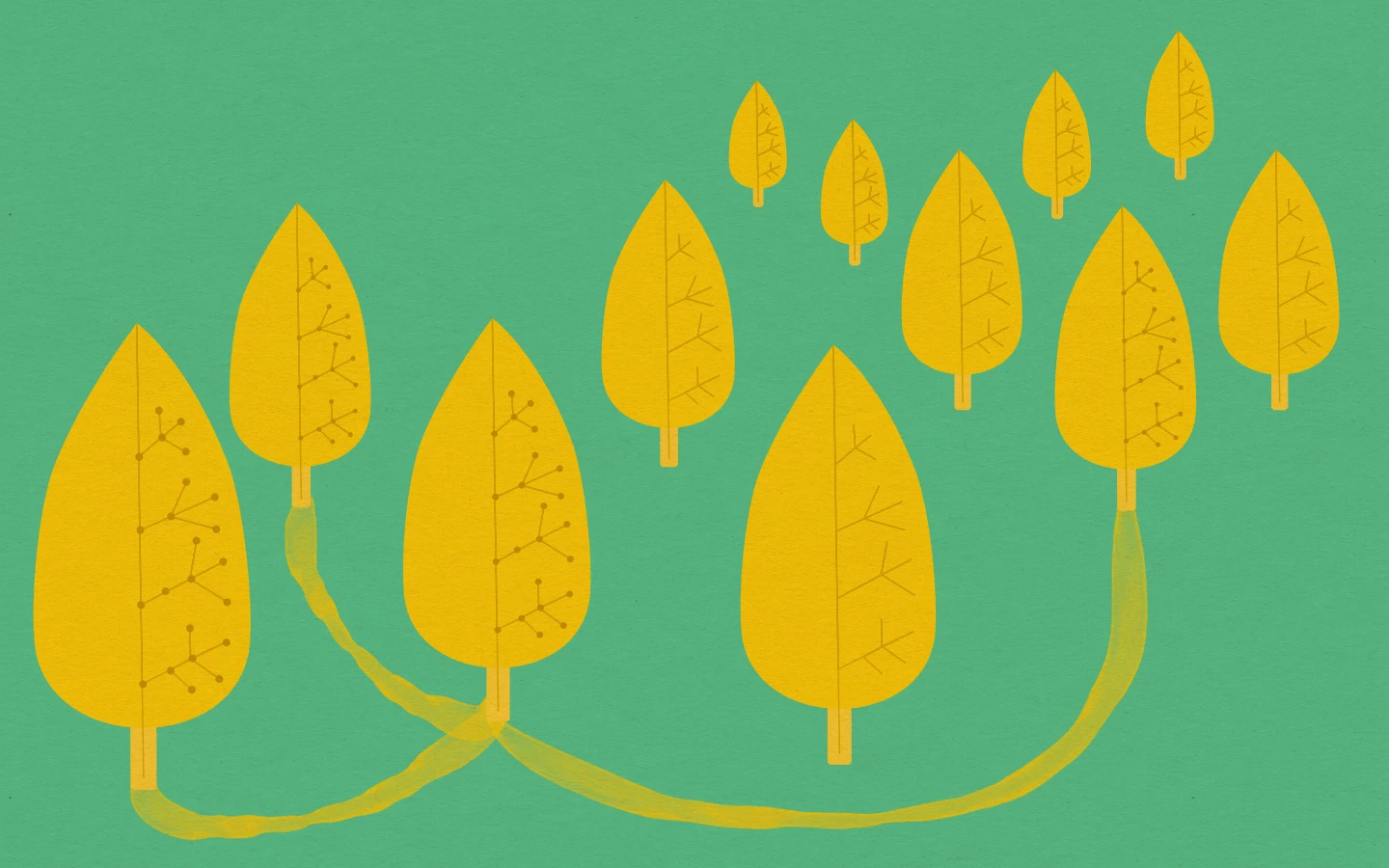 Interconnected leaves